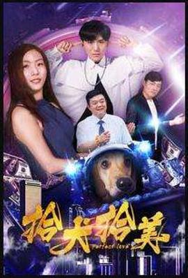 电影：拾犬拾美