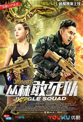 电影:丛林敢死队