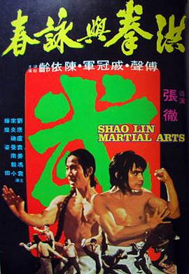 电影:洪拳与咏春