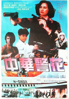 电影：中华警花