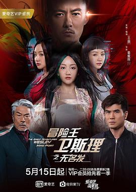 电影：冒险王卫斯理之无名发