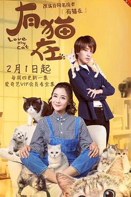 电影:有猫在