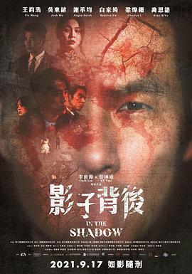 电影：影子背后