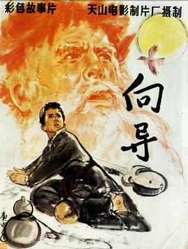 电影:向导