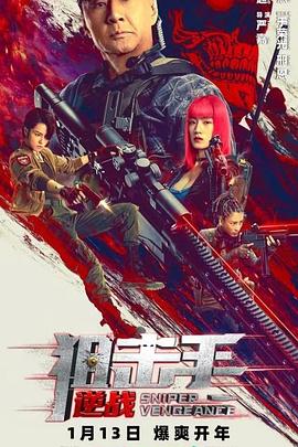 电影：狙击手：逆战