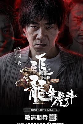 电影:追龙番外篇之龙争虎斗