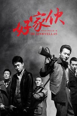 电影：好家伙2016