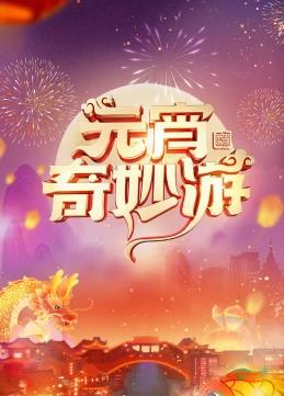 电影：2024元宵奇妙游