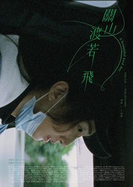 电影：关山度若飞