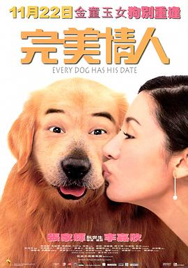 电影：完美情人