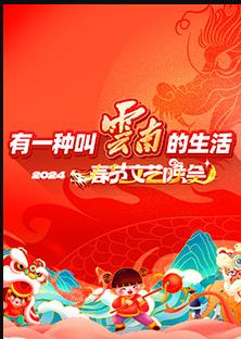 电影：202云南省春节文艺晚会