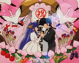 电影：乱马 1/2 OVA 珊璞暴变—反转宝珠之祸