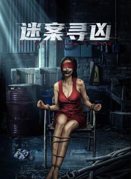 电影:迷案寻凶