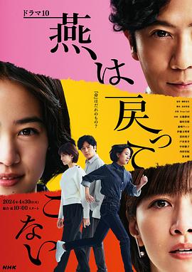 电影：燕子不再归来