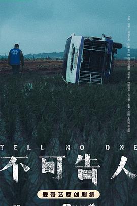 电影：不可告人2024