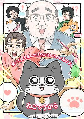 电影：转生成猫的大叔