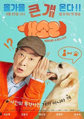 电影:狗话