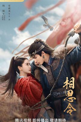 电影:相思令