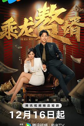 电影：乘龙赘婿