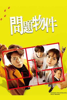 电影:问题住宅