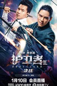 电影：护卫者3：决战