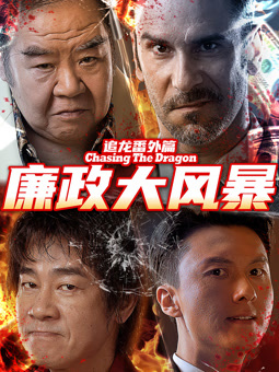 电影：追龙番外篇之廉政大风暴
