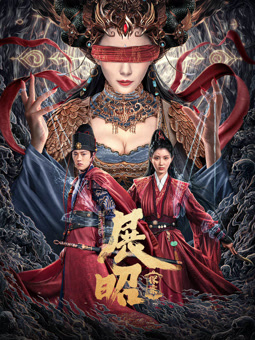电影：展昭·探案