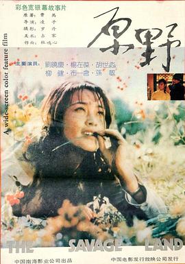 电影:原野