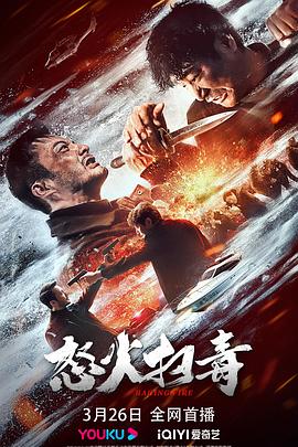 电影：怒火扫毒