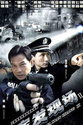 电影：案发现场2