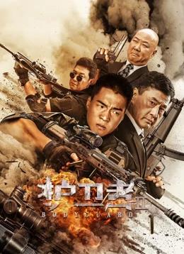 电影:护卫者2