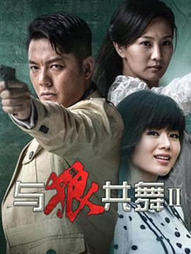 电影：与狼共舞2