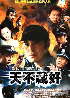 电影:天不藏奸