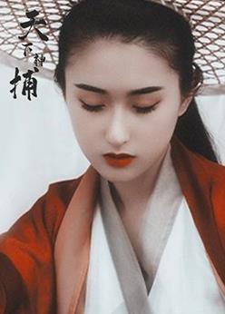 电影:天下神捕