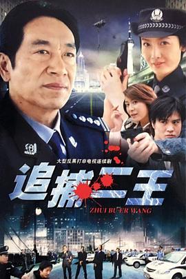 电影：追捕二王