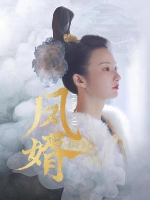 电影：凤婿