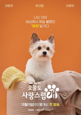电影:今天也很可爱的狗