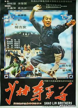 电影：少林寺弟子