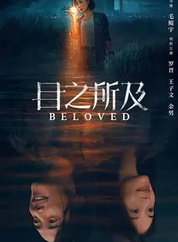电影：目之所及