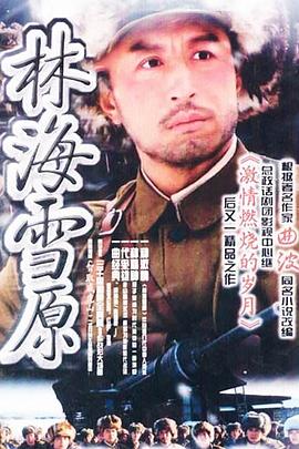电影：林海雪原2004