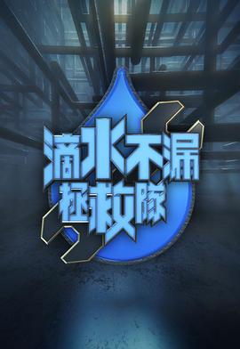 电影:滴水不漏拯救队粤语