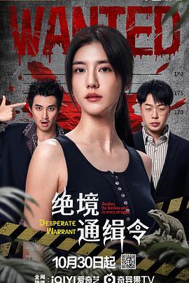 电影:绝境通缉令
