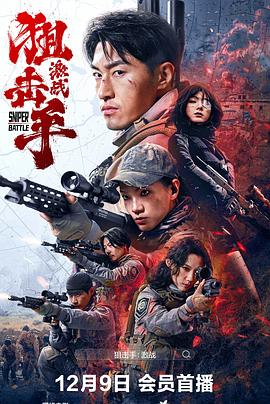 电影：狙击手：激战