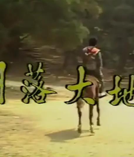 电影:月落大地
