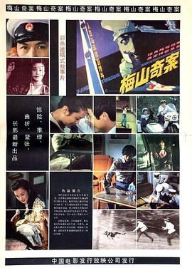电影：梅山奇案