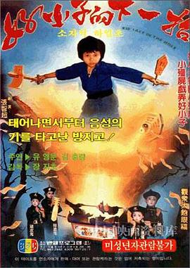 电影：好小子的下一招
