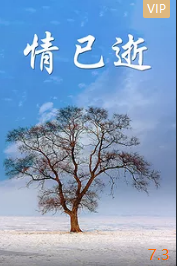 电影：情已逝