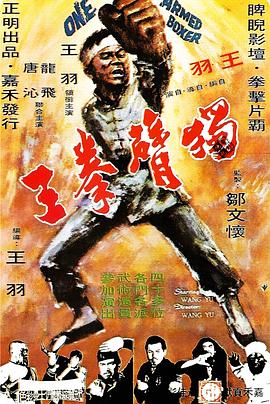 电影:独臂拳王