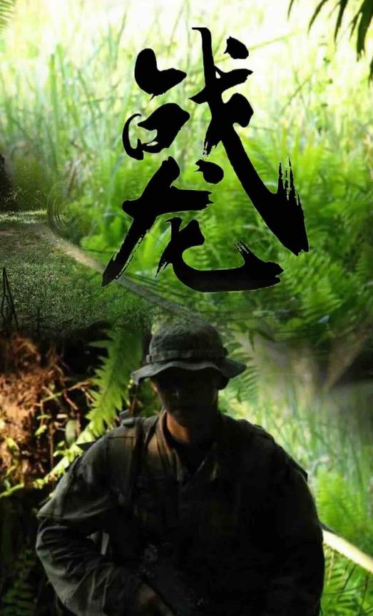 电影：战龙