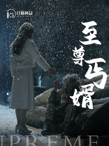 电影：至尊丐婿